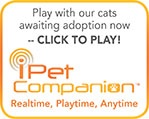iPet Companion Link